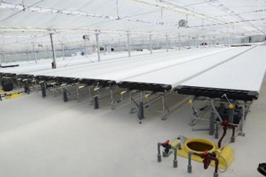 水耕栽培システムイメージ