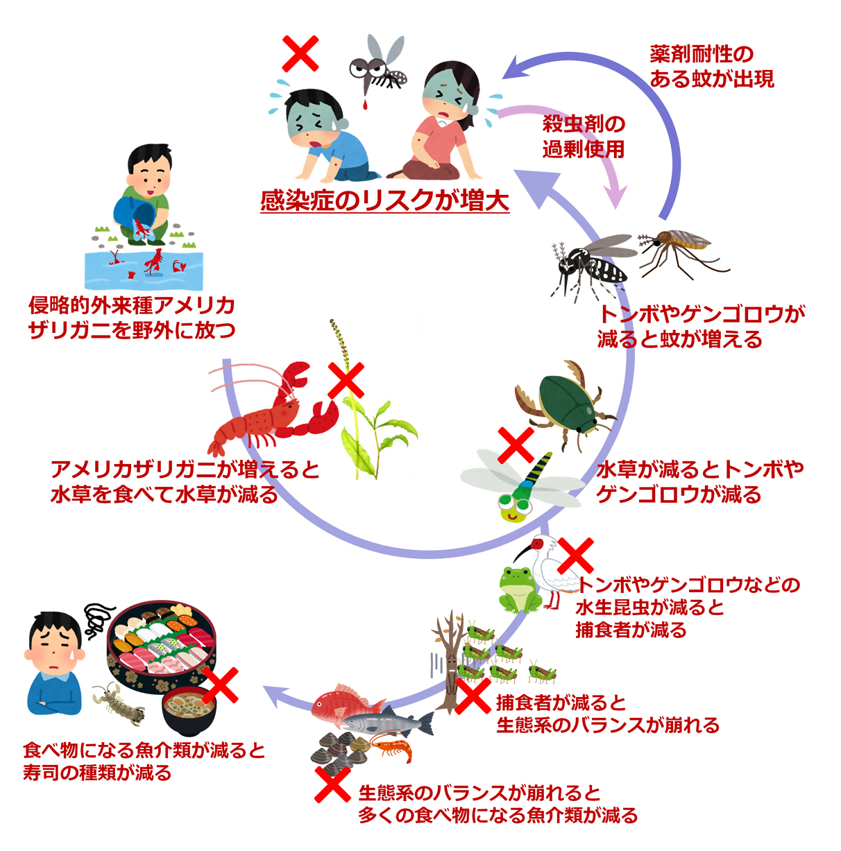 アメリカザリガニを野外に放したときに生じる問題
