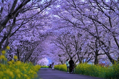 写真部門 景観発見賞
