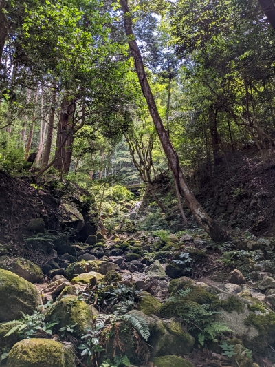 写真部門 景観発見賞