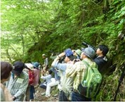 バードウォッチング