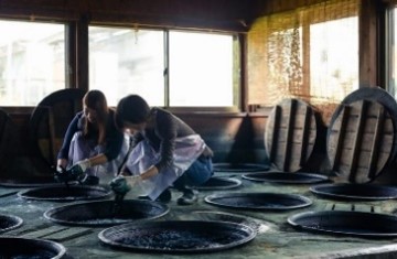 体験の様子