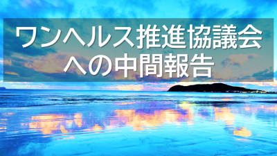 バナー先