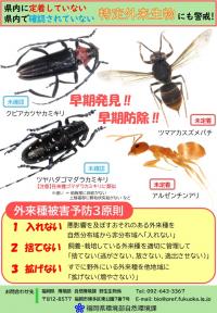 未定着