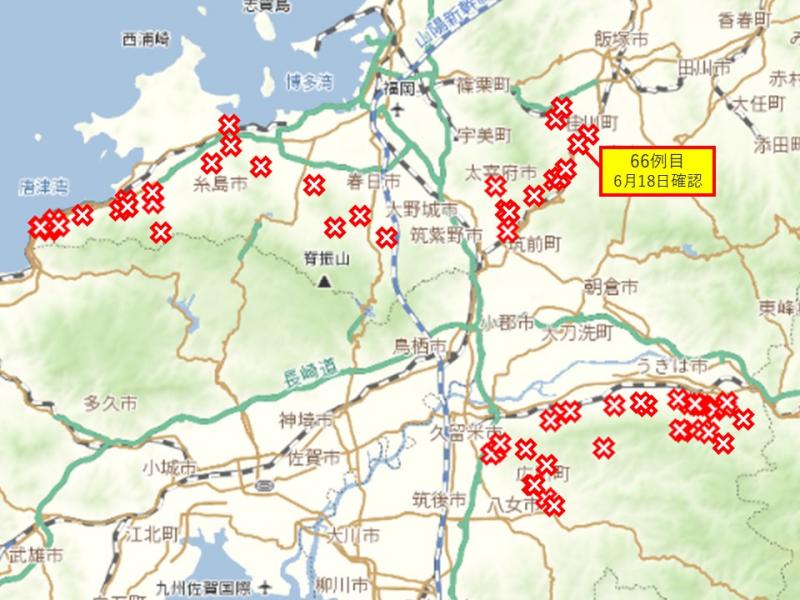 全体