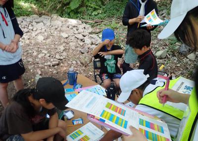 生きものを観察している様子の写真