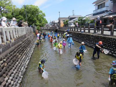 生きもの観察１
