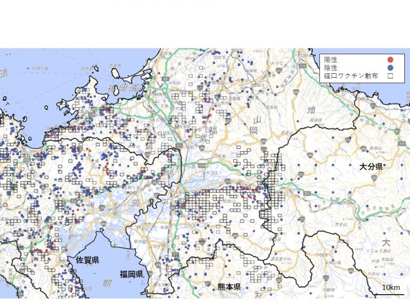 散布図
