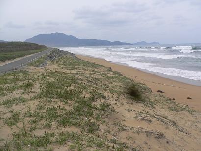 岡垣町三里松原の海岸