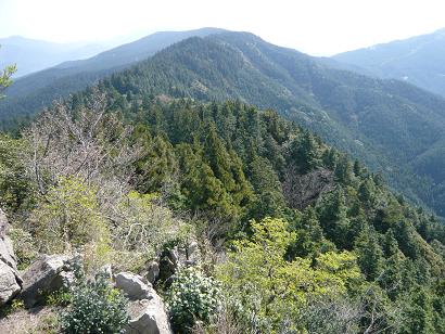 若杉山の縦走路