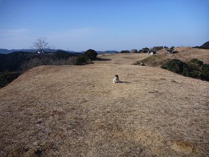 基山山頂の草原