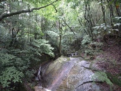 太宰府市内野、宝満山登山口脇の沢