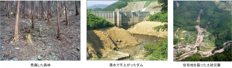 荒廃した森林、渇水で干上がったダム、土砂災害の写真