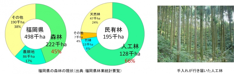 福岡県の森林に関するグラフと写真