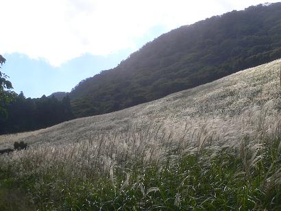 ススキ野原の英彦山スキー場