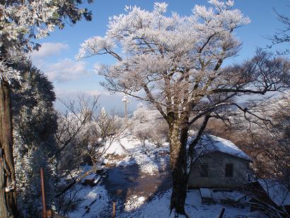 樹氷輝く英彦山中岳山頂