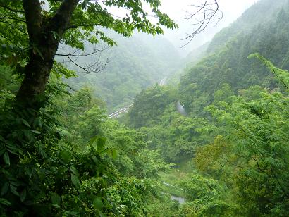 つづら折れの久山町犬鳴峠