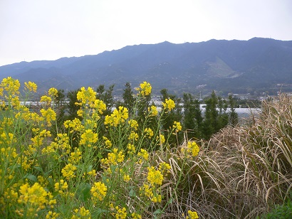 久留米市田主丸町の耳納山麓より見上げる耳納連山