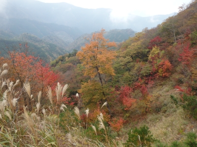 経読岳付近の紅葉の写真です