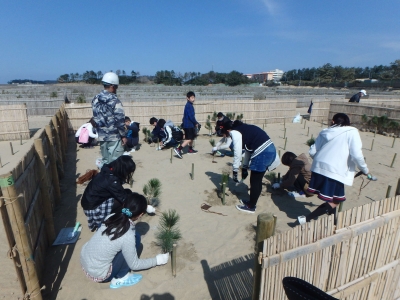 芦屋小学校の生徒たちが植樹をしている様子