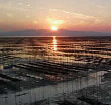 有明海の夕日