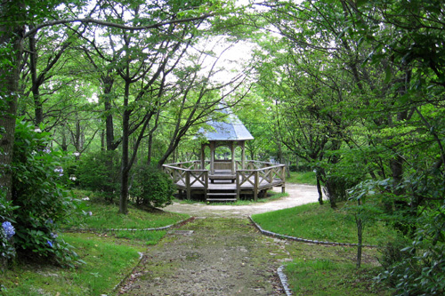 展示効果の高い森林