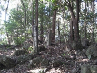 「安国寺」大法山山頂
