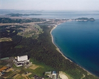 さつき松原の全景