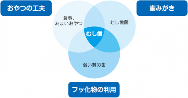 むし歯の原因