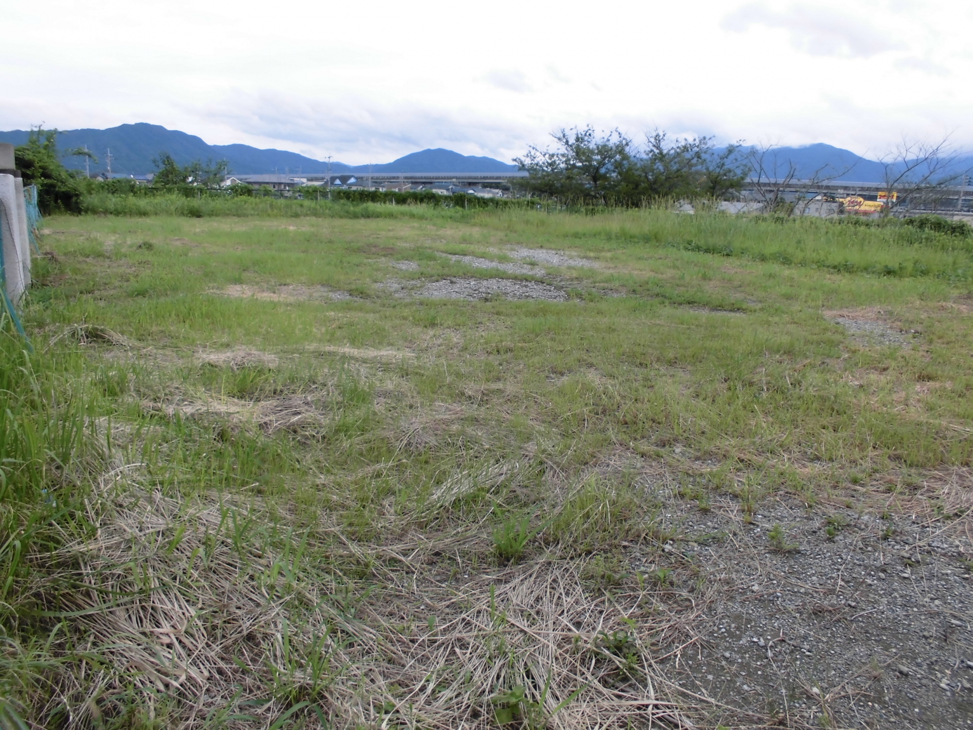 県有地内の画像１