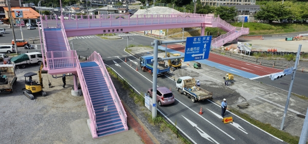 頃末歩道橋の全景写真