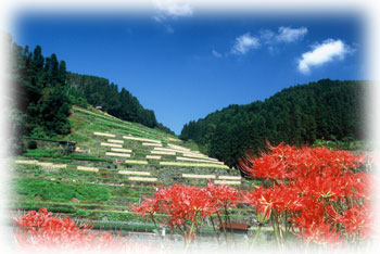 中山間地域のイメージ画像