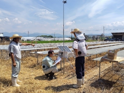 普及指導員が花壇苗生産者に太陽光パネル電源を用いたLED防蛾灯を説明