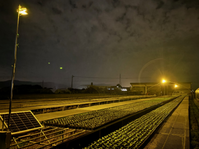 夜間に点灯したLED防蛾灯