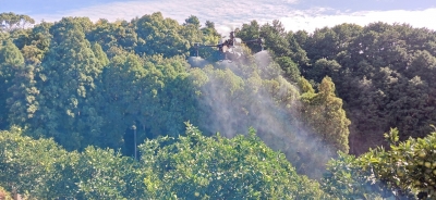 果樹園にドローンを使って水を散布し、付着具合を確認