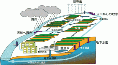 水源涵養機能