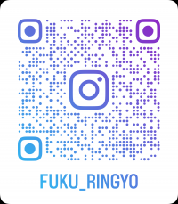 Instagram-QR