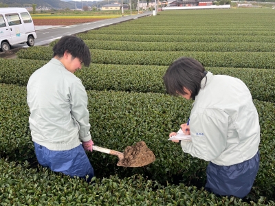 土壌審査の様子