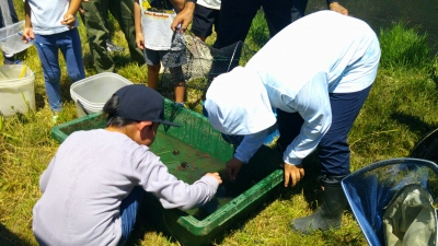 生物多様性セミナー第1回 実地(2)