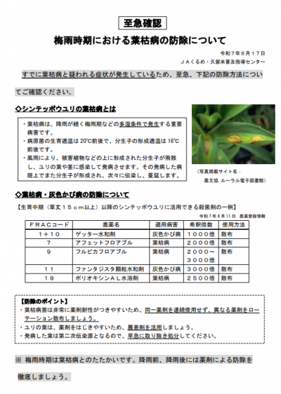 葉枯病対策のリーフレット